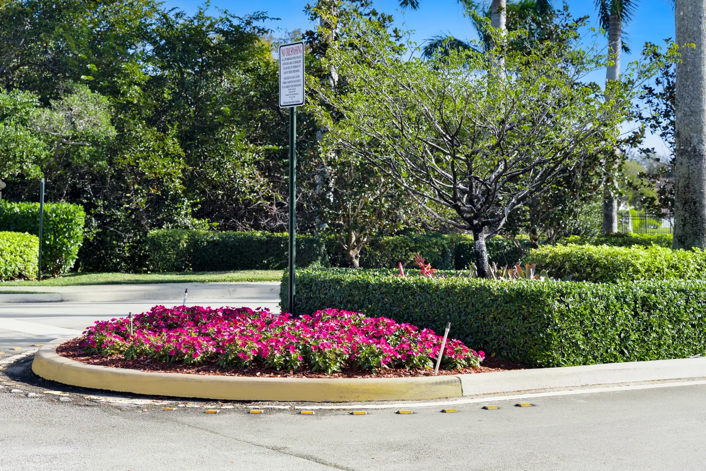 A community entrance enhancement with seasonal color