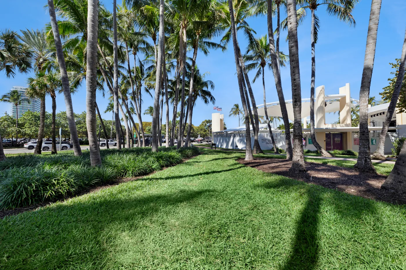 Healthy irrigated turf on a South Florida campus