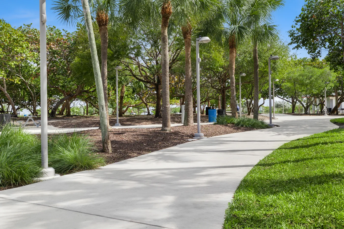 Tree & Palm Care by Everglades Environmental Care on a South Florida property