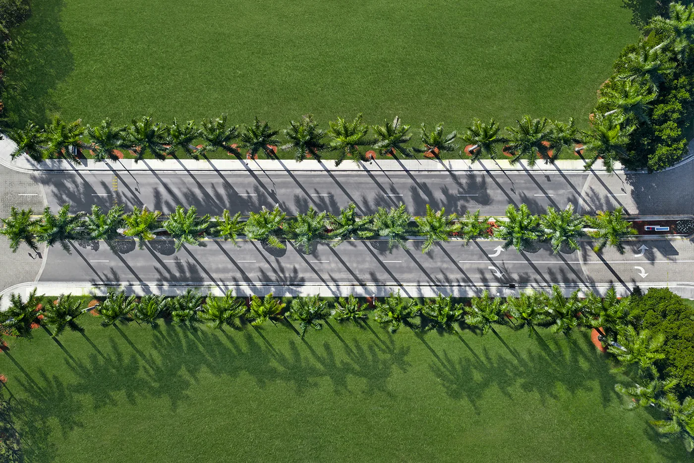Palm allée, aerial, maintained by Everglades Environmental Care